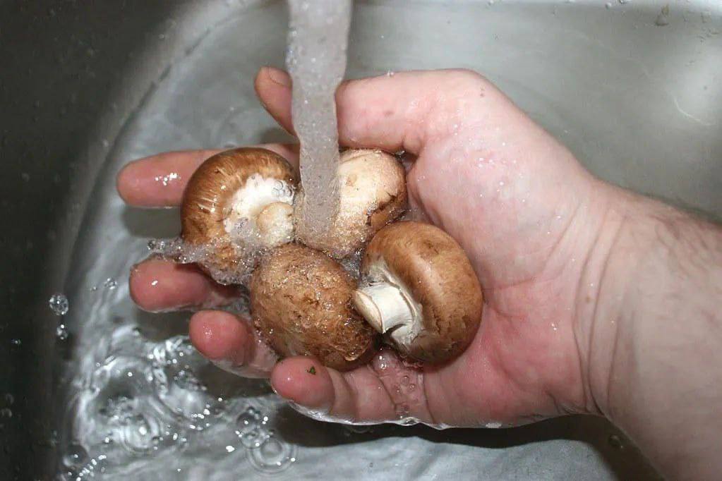 Come pulire i funghi dalla terra?